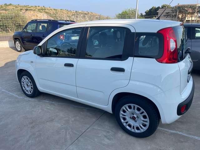 Fiat Panda Panda 1.2 Easy "Km 62.000"