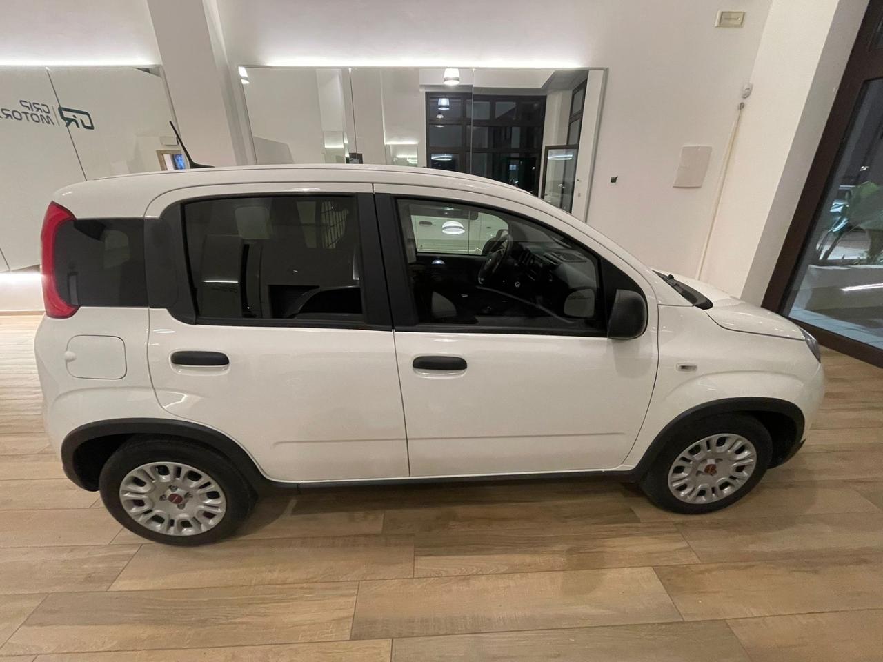 Fiat Panda 1.0 S&S Hybrid Van 2 posti AUTOCARRO