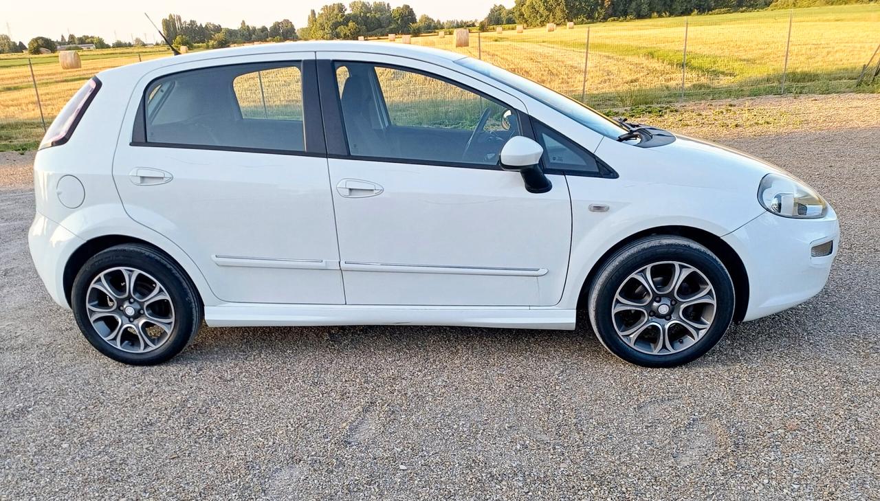 Fiat Punto 1.2 Benzina 5 porte Lounge