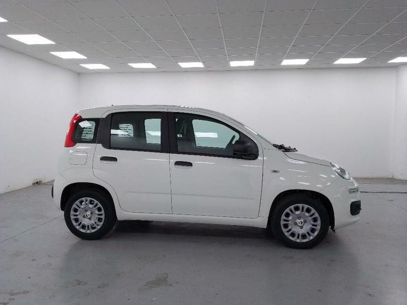 FIAT Pandina 1.0 firefly hybrid Pop s&s 70cv