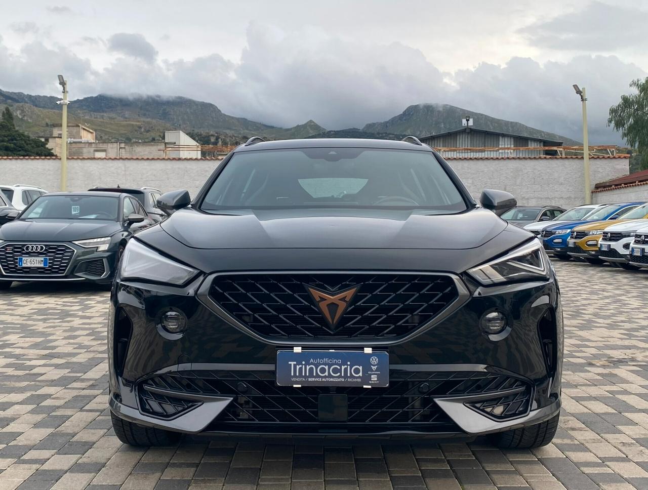 Cupra Formentor 2.0 TDI 150CV DSG 4drive