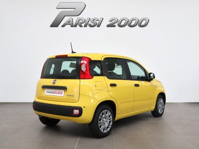 FIAT Panda 1.0 FireFly S&S Hybrid *PROMO PARISI GROUP*