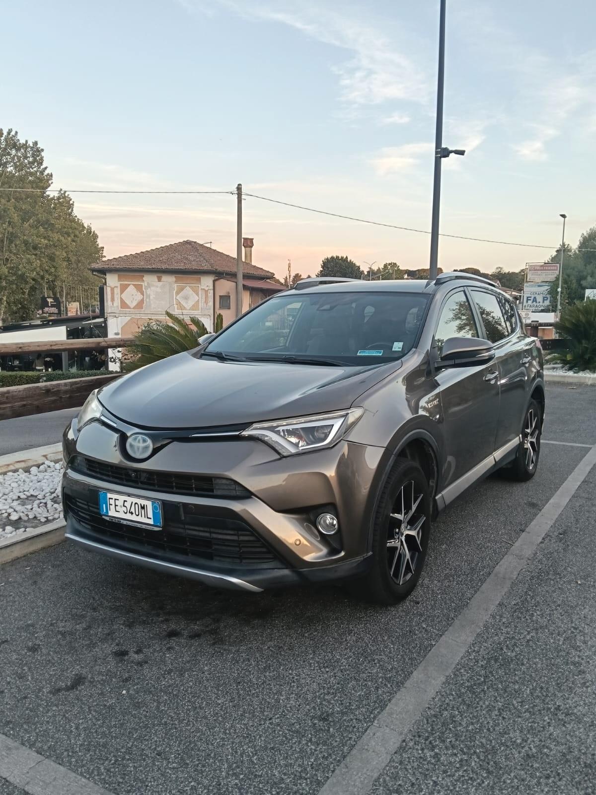 Toyota RAV4 2.5 Hybrid AWD E-Four (197 CV) + GPL Landi + Gancio Brink - 2016