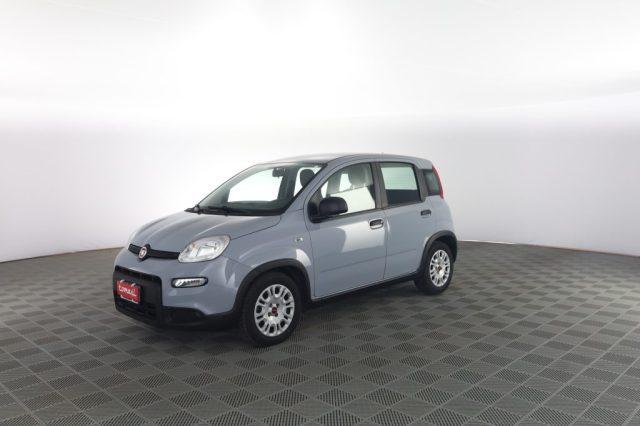 FIAT Panda Panda 1.0 FireFly Hybrid City Life