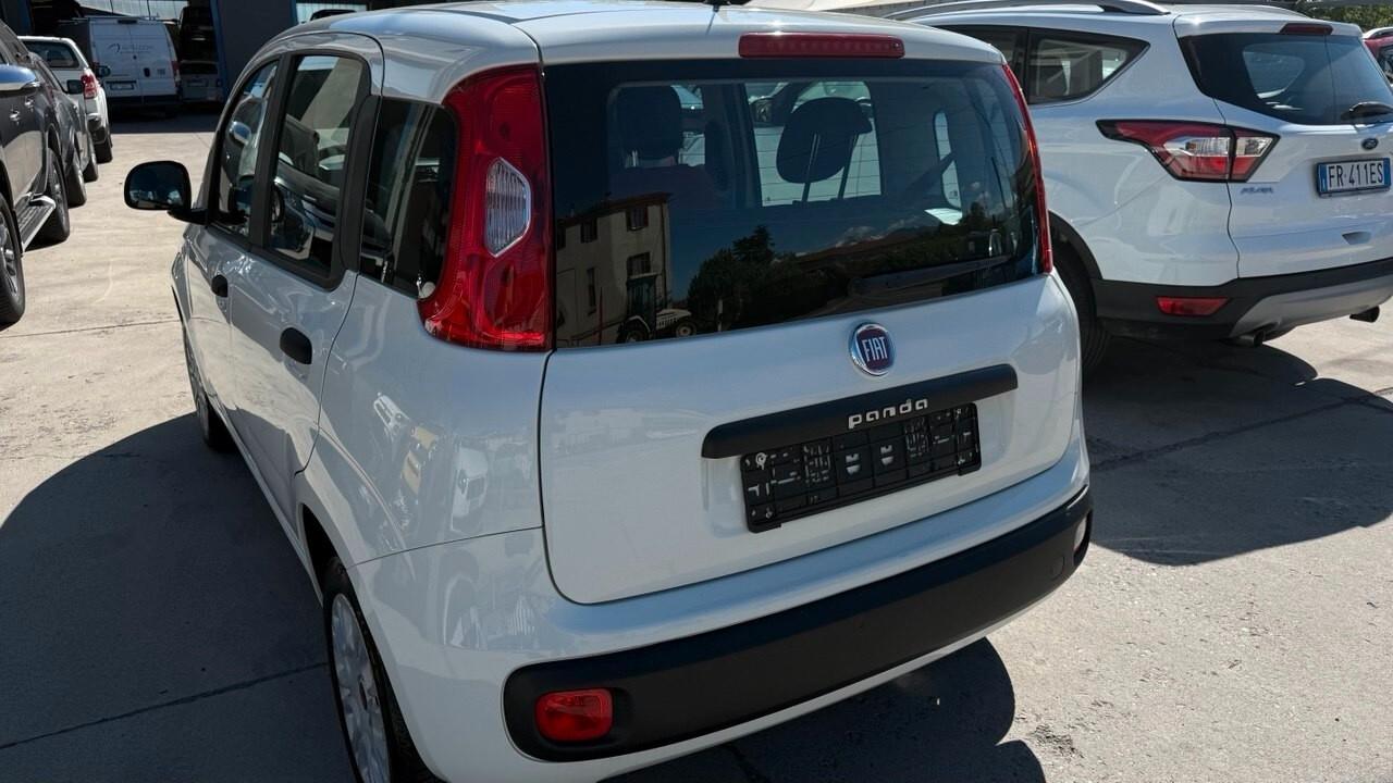 Fiat Panda 1.2 Easy