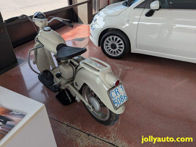 MOTOM Dolcevita 160 DELFINO