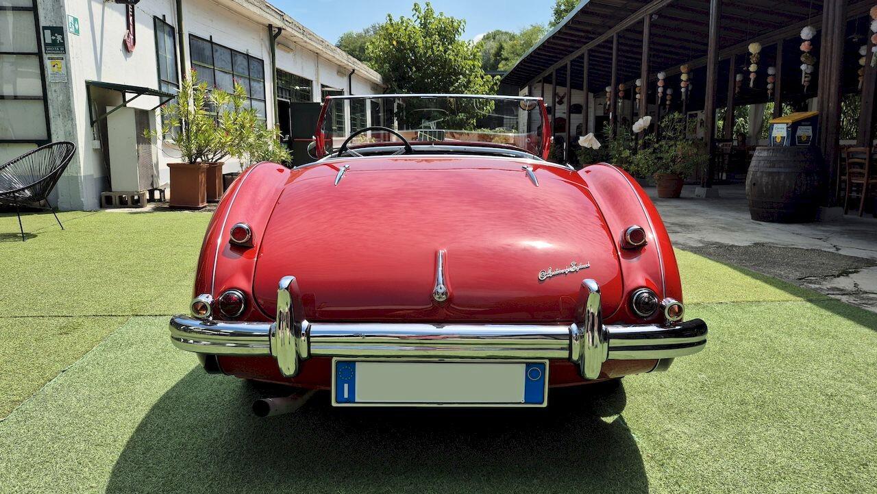 Austin-Healey 100 BN1 – 1954