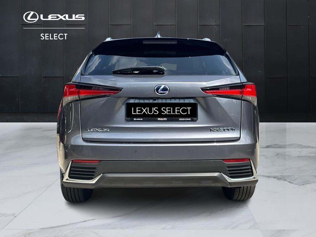 Lexus NX 300 h 2.5 Luxury 4wd cvt