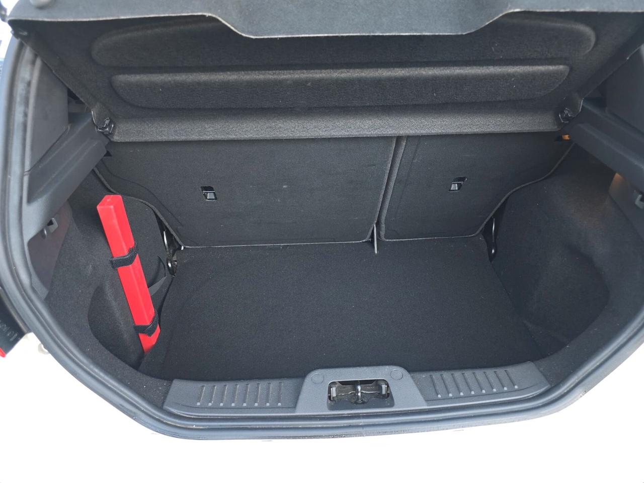 Ford Fiesta 1.5 TDCi Black & White 95 cv-2017