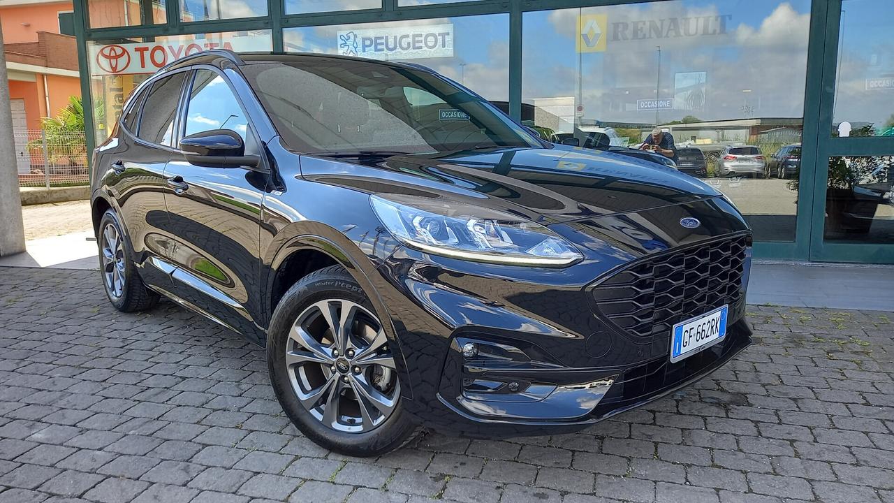 Ford Kuga 1.5 EcoBlue 120 CV aut. 2WD ST-Line