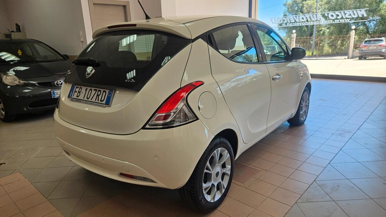 Lancia Ypsilon 1.3 MJT 16V 95 CV 5 porte S&S Platinum