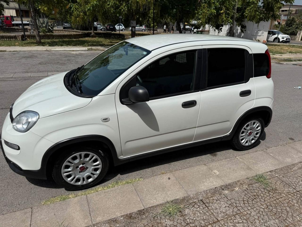 Fiat Panda 1.0 GSE S&S Hybrid Pop Van 2 posti