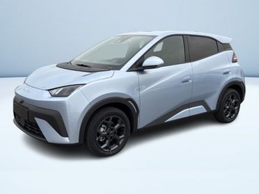 BYD Dolphin Surf Comfort