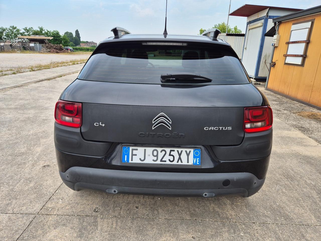 Citroen C4 Cactus BlueHDi 100 Shine
