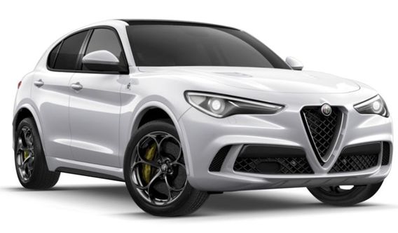 ALFA ROMEO Stelvio Stelvio 2.2 T.diesel 210CV AT8 Q4 Veloce