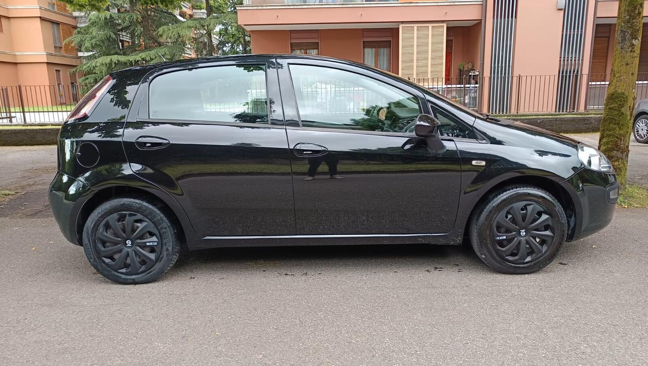 Fiat Punto Evo Punto Evo 1.2 5 porte S&S MyLife