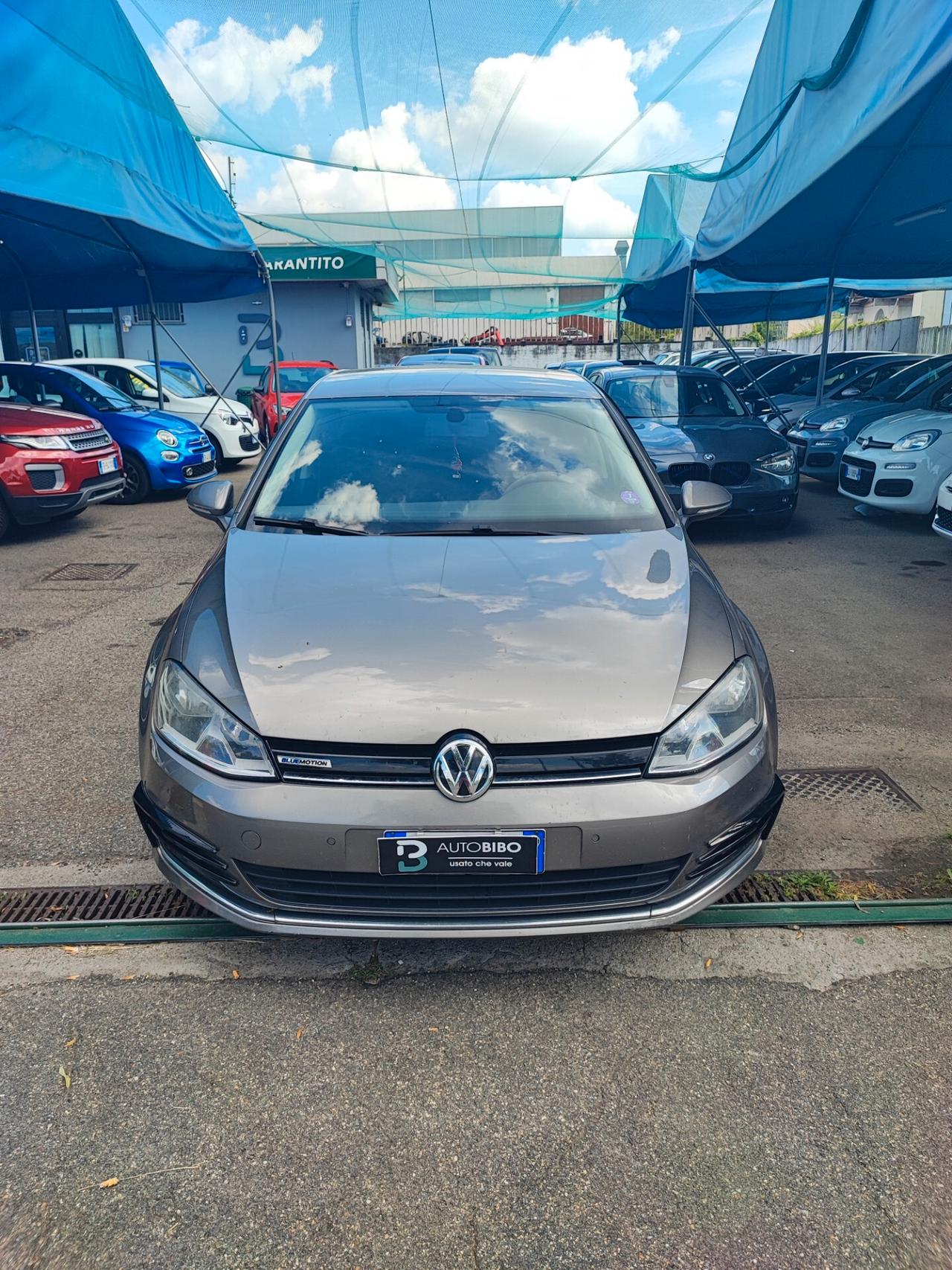 Volkswagen Golf Business 1.4 TGI DSG 5p. Highline BlueMotion
