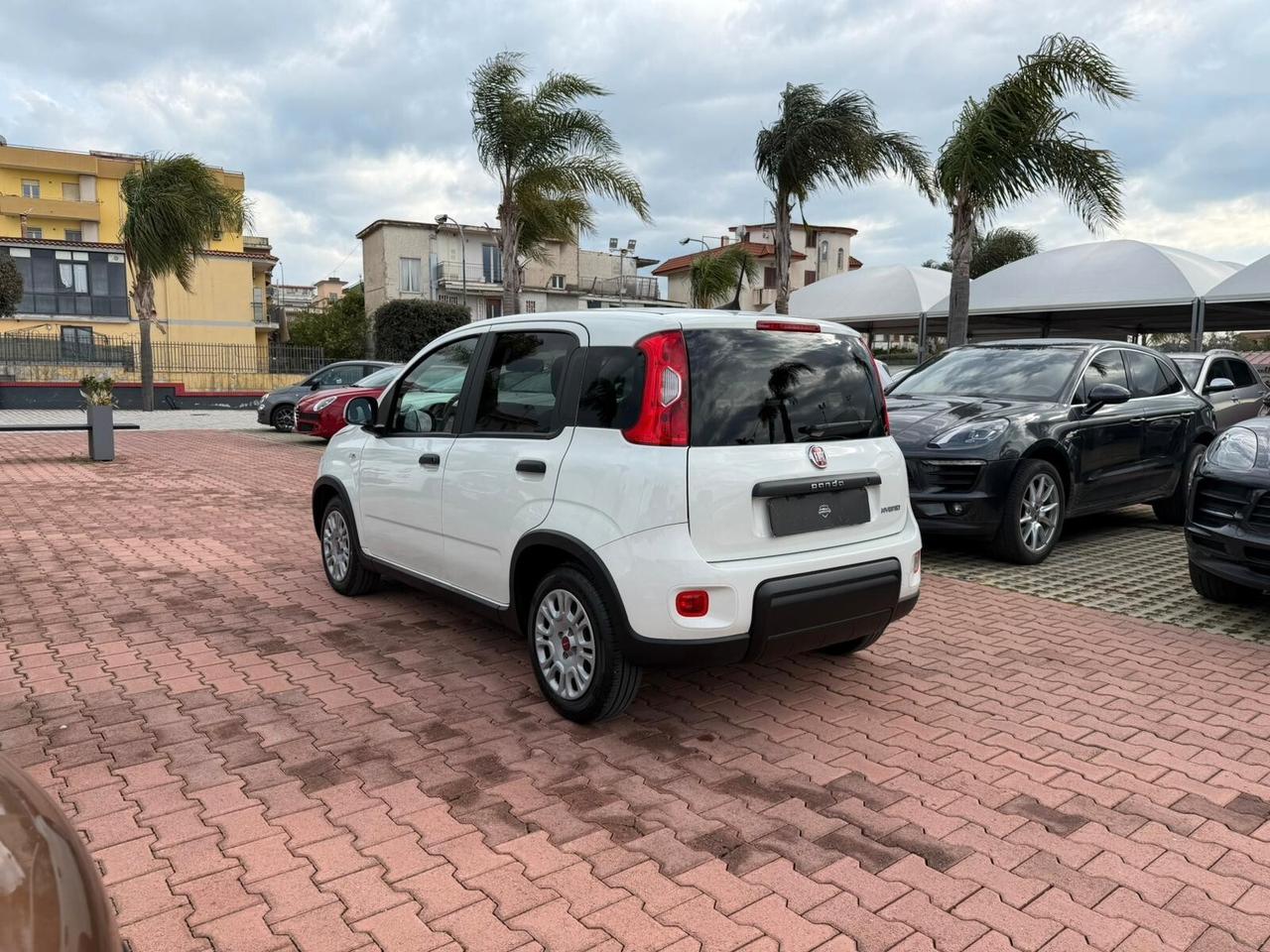 Fiat Panda 1.0 FireFly S&S Hybrid (IVA DEDUCIBILE)