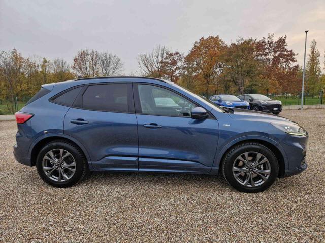 FORD Kuga 1.5 EcoBlue 120 CV aut. 2WD ST-Line X