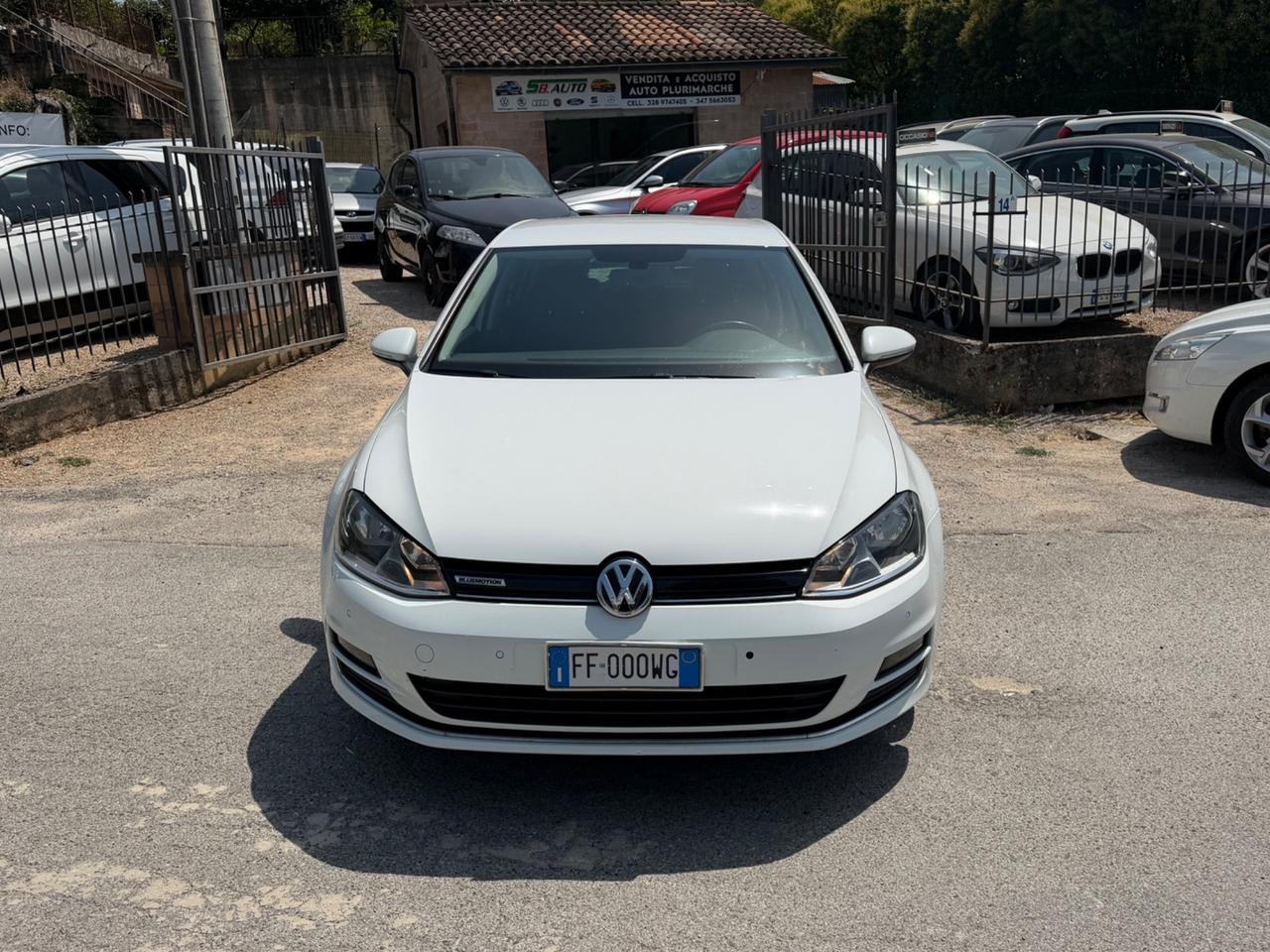 Volkswagen Golf 1.4 TGI DSG 5p. Executive BlueMotion