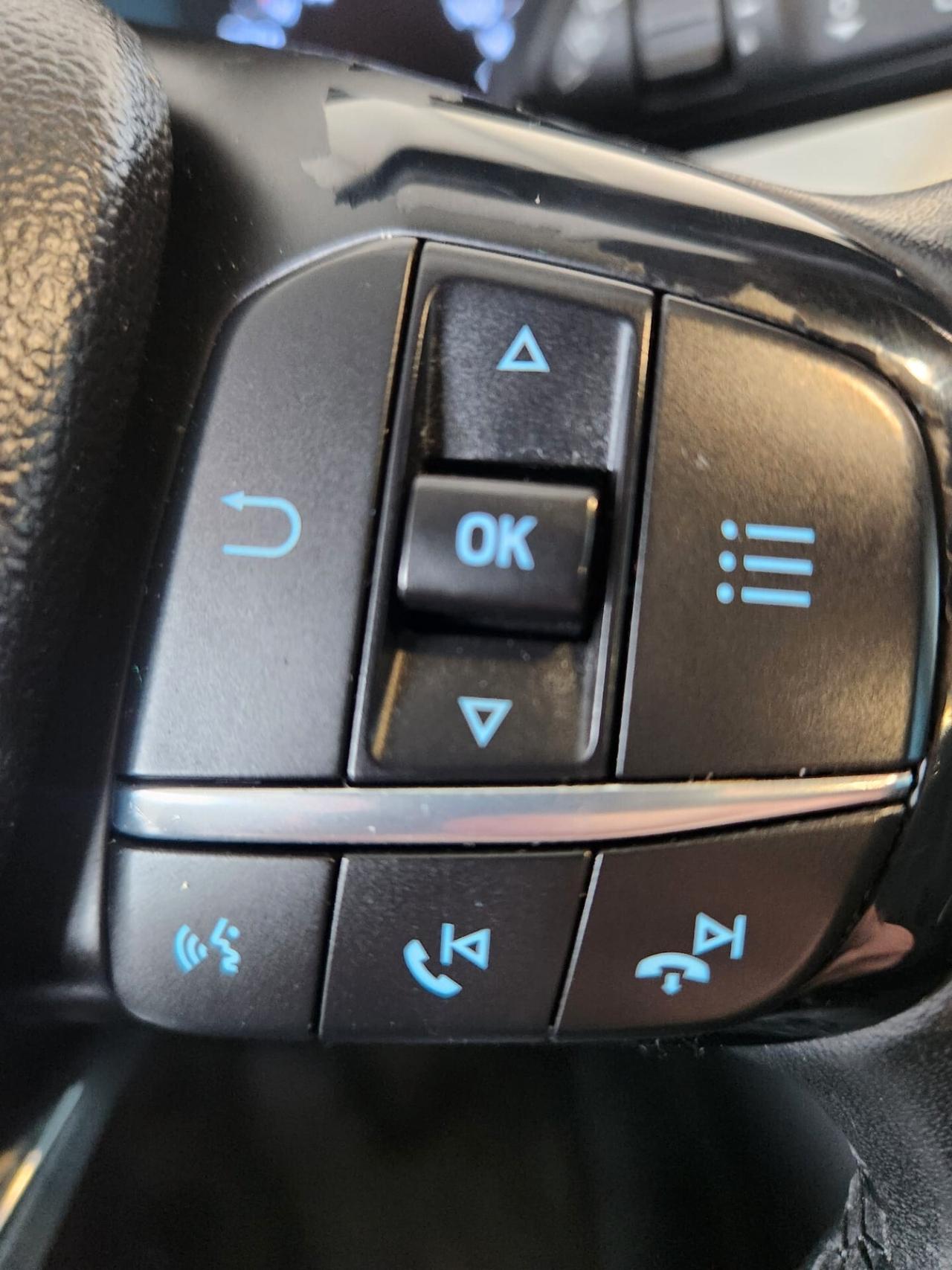 Ford Focus 1.5 EcoBlue 120 CV automatico SW Business Co-Pilot