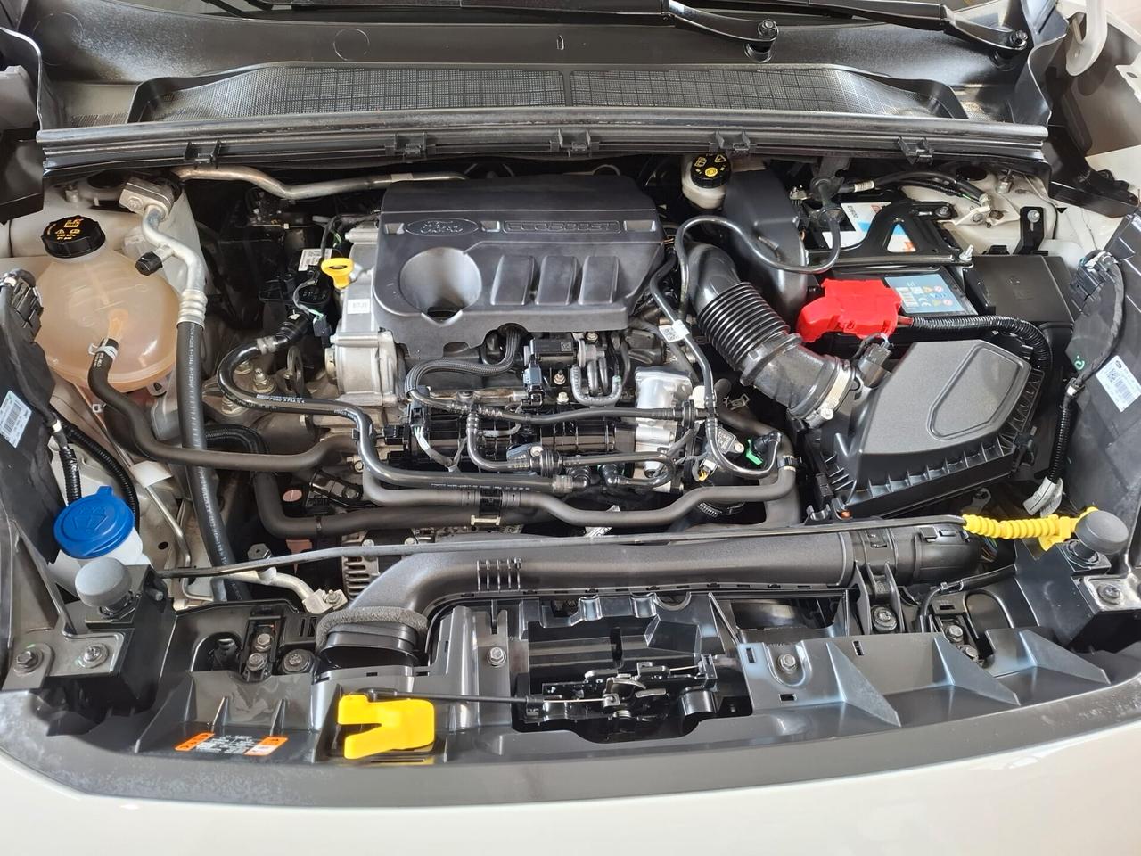 Ford Puma 1.0 EcoBoost Hybrid 125 CV S&S ST-Line X