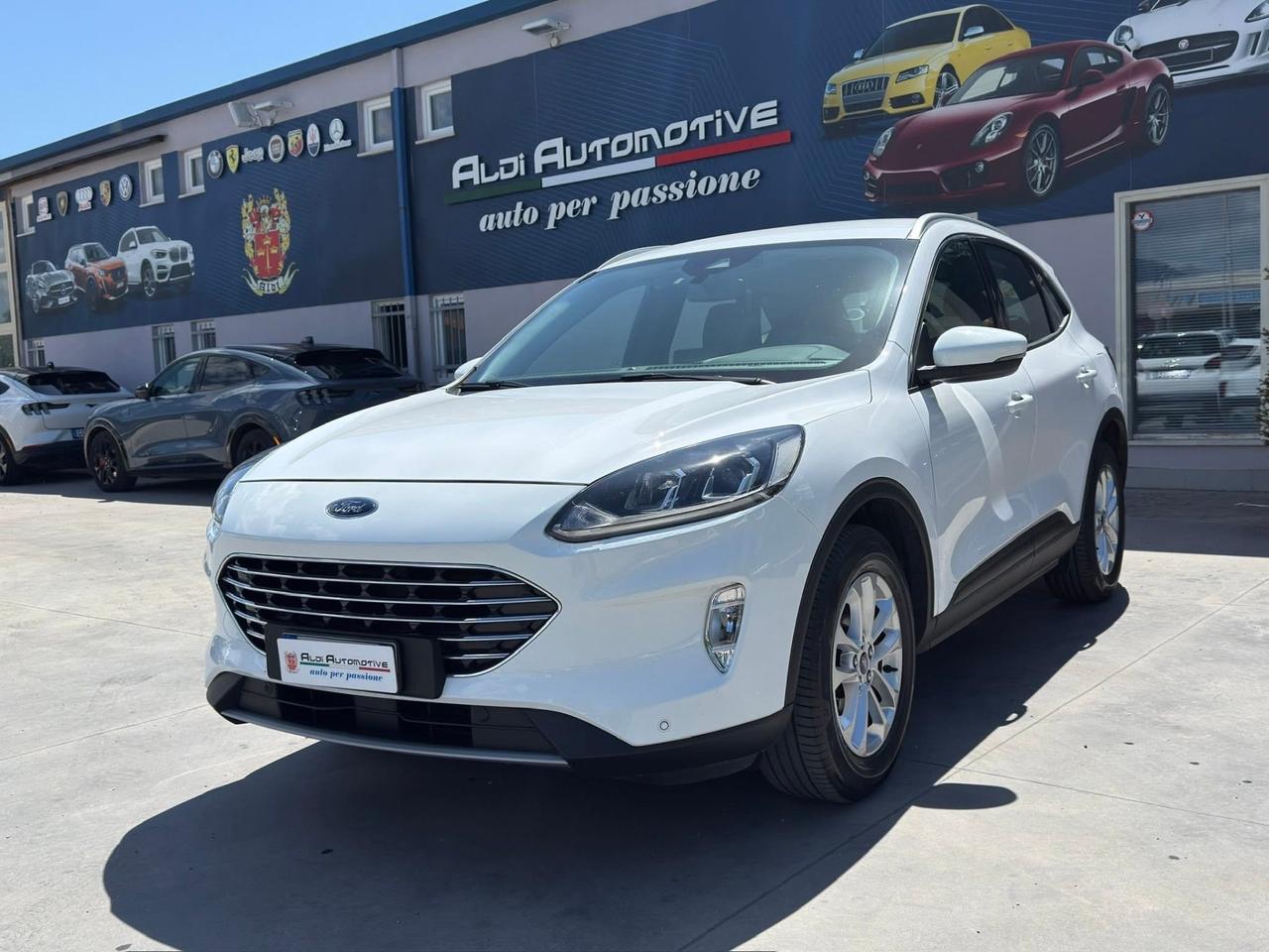 Ford Kuga 1.5 EcoBlue 120 CV aut. 2WD Titanium Business