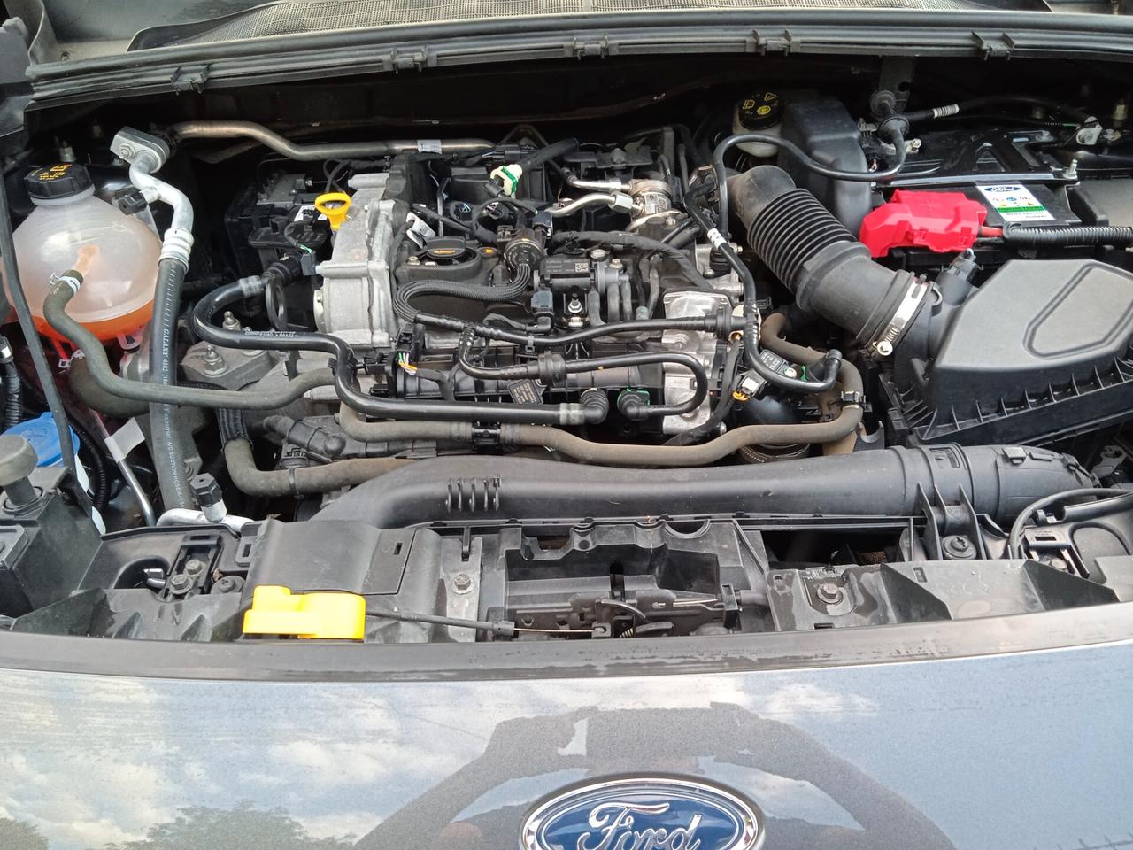 Ford Puma 1.0 EcoBoost Hybrid 125 CV Titanium