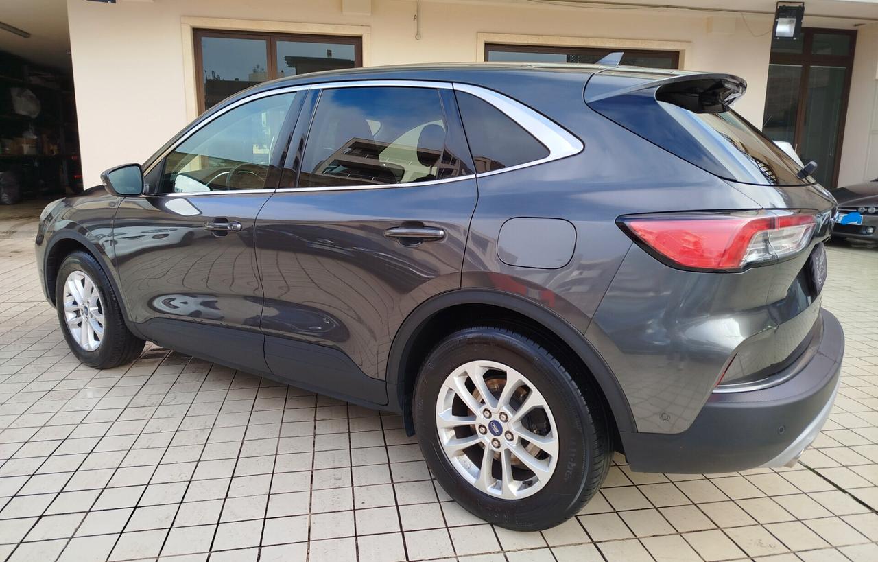 Ford Kuga 1.5 EcoBlue 120 CV aut. 2WD Titanium