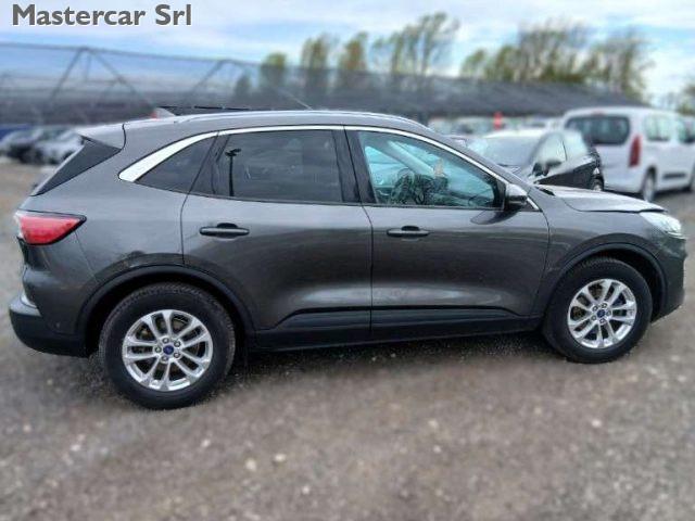 FORD Kuga Kuga III 1.5 ecoblue Titanium Business 2wd 120cv