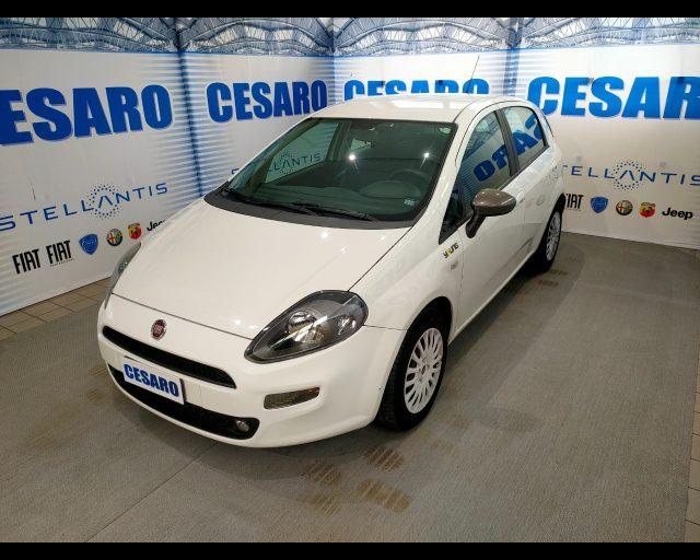 FIAT Punto 3p 1.3 mjt 16v Young 75cv