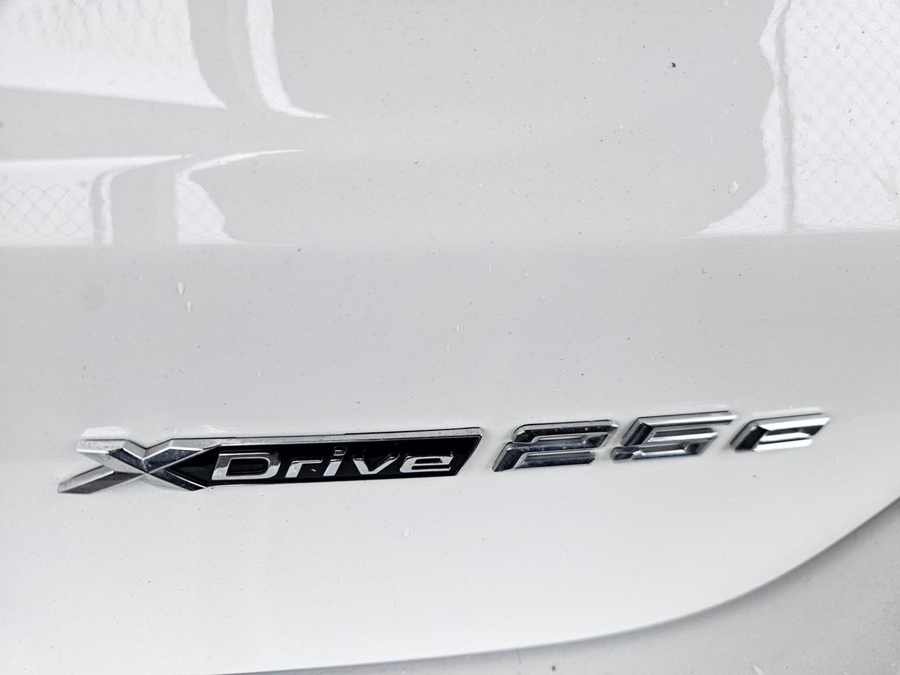 Bmw X1 xDrive25e Business Advantage