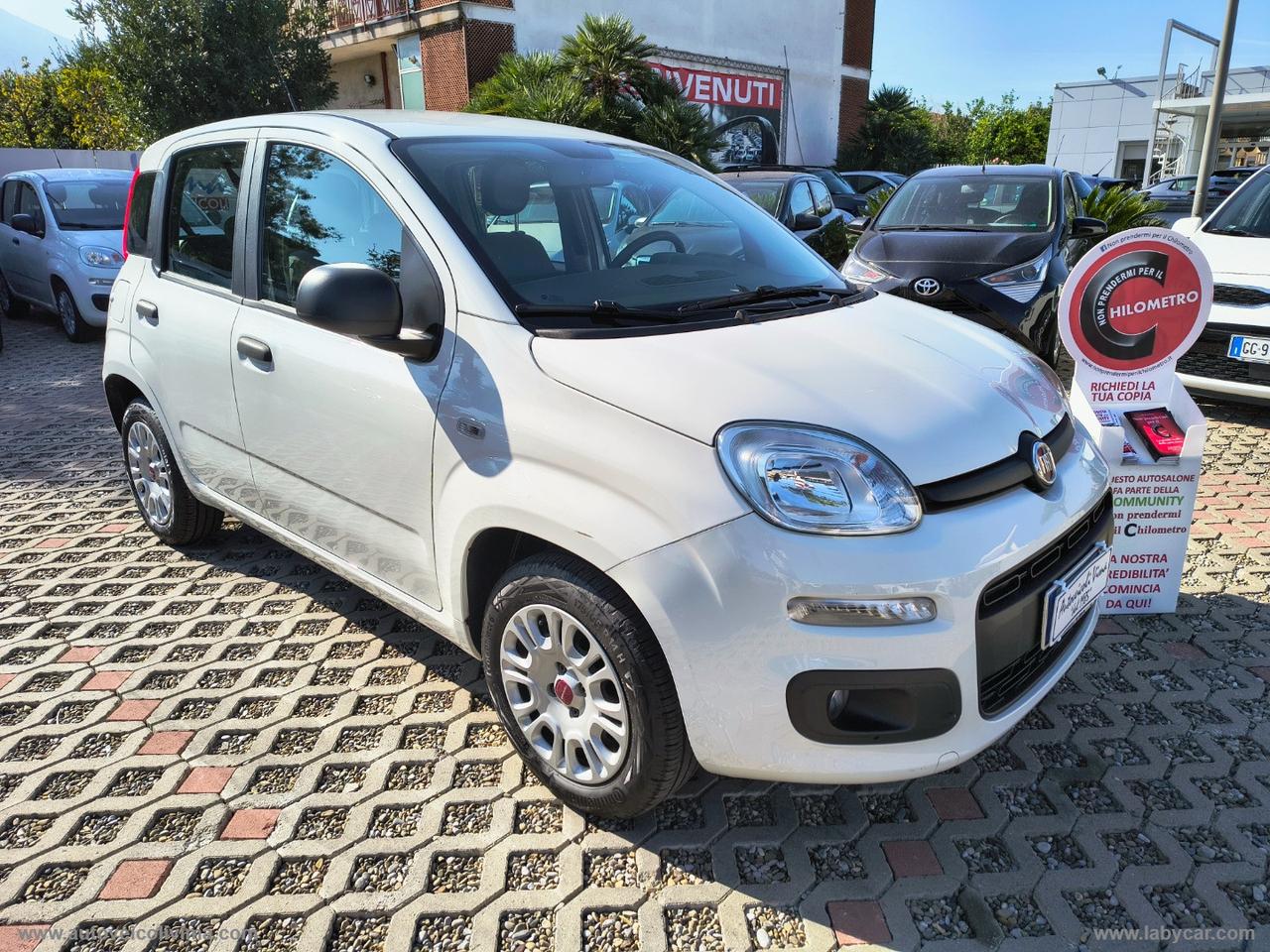 FIAT Panda 1.2 Easy TAGL.FIAT