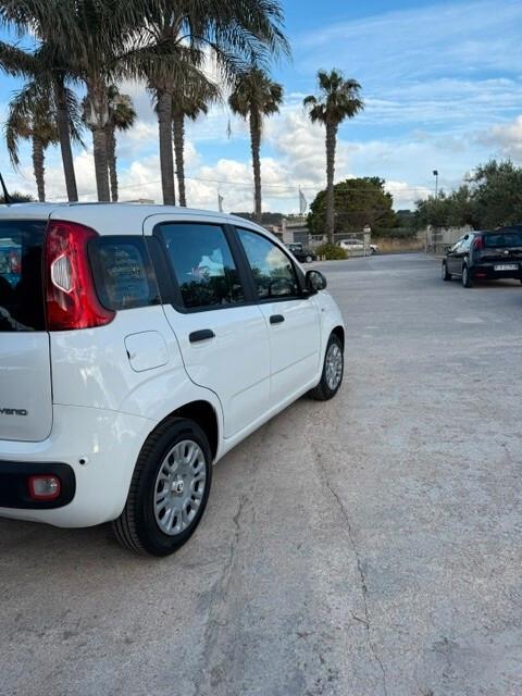 Fiat Panda Pandina 1.0 FireFly 65 CV Hybrid Icon