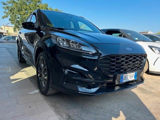 Ford Kuga 2.0 EcoBlue Hybrid 150 CV 2WD ST-Line X