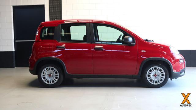 FIAT Panda 1.0 FireFly S&S Hybrid per neopatentati