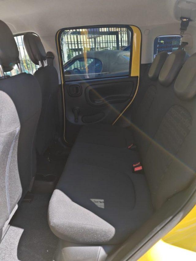FIAT Panda 1000 HYBRID PANDINA 70 CV CARPLAY PDC ITALIA