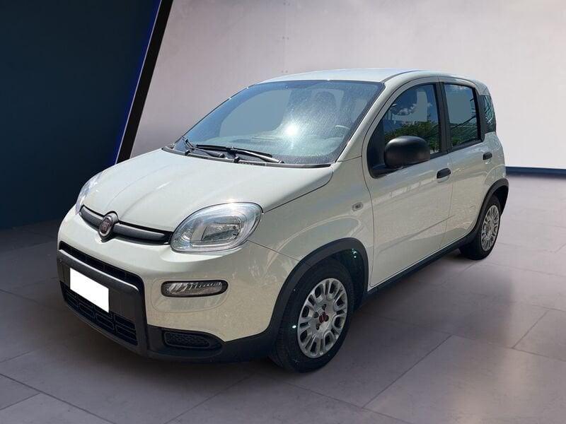 FIAT Panda My23 1.0 70cv Hybrid Panda