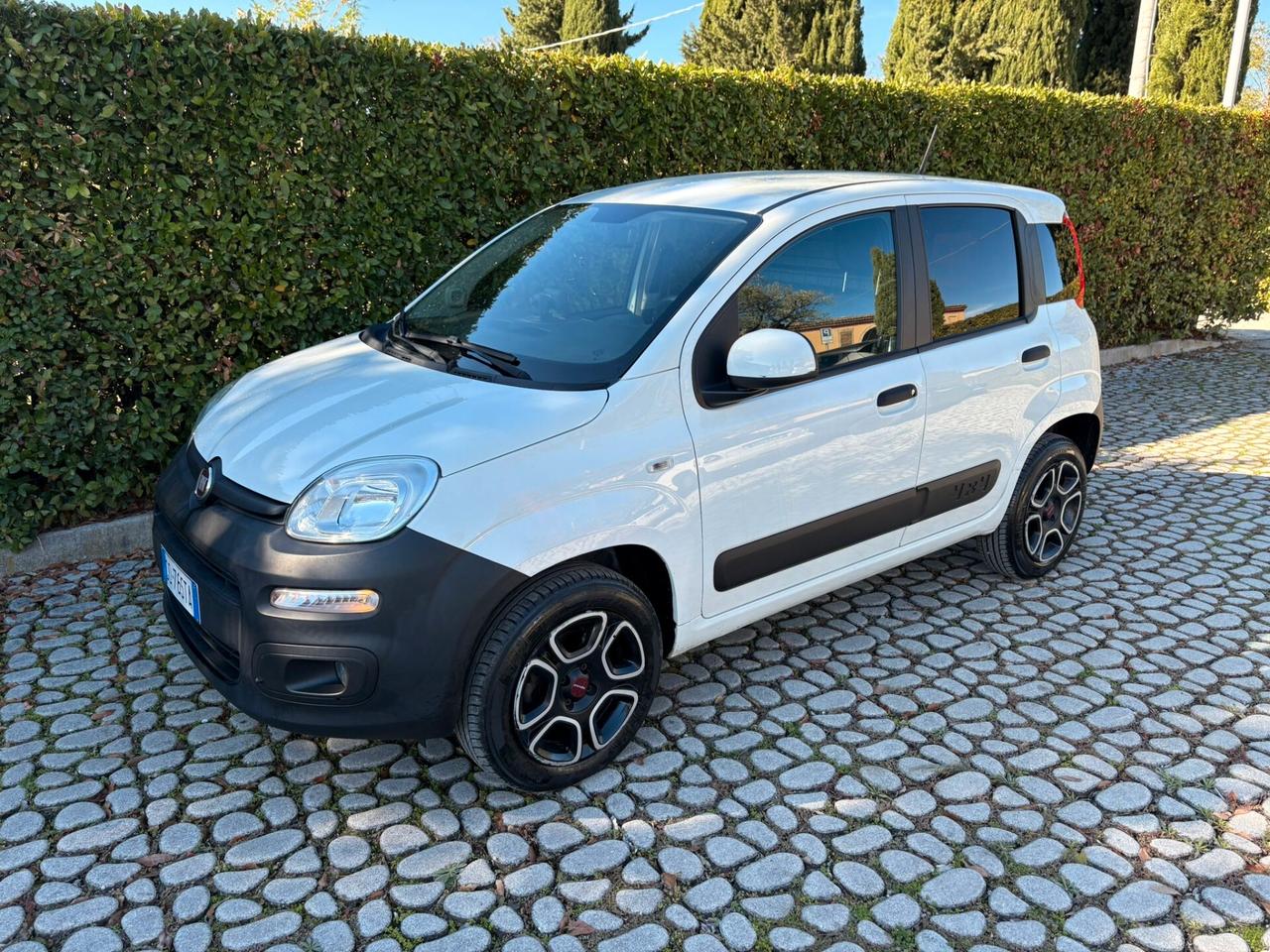 FIAT Panda 0.9Turbo S&S 4x4 Eld Pop N1 Van -2021