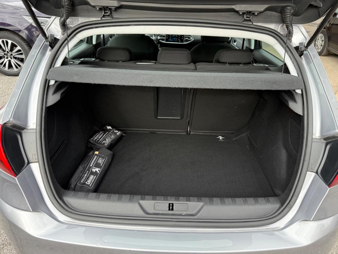 308 BlueHDi 100-Business-unipro-rate-garanzia