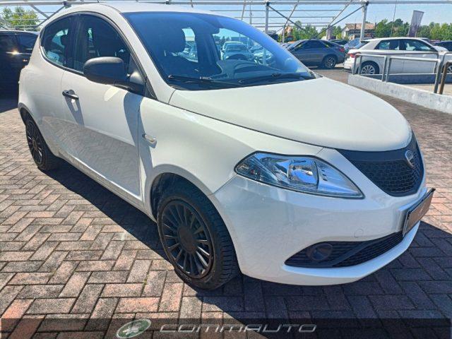 LANCIA Ypsilon 1.2 69CV 5porte Elefantino Blu ADATTA PER NEOPAT