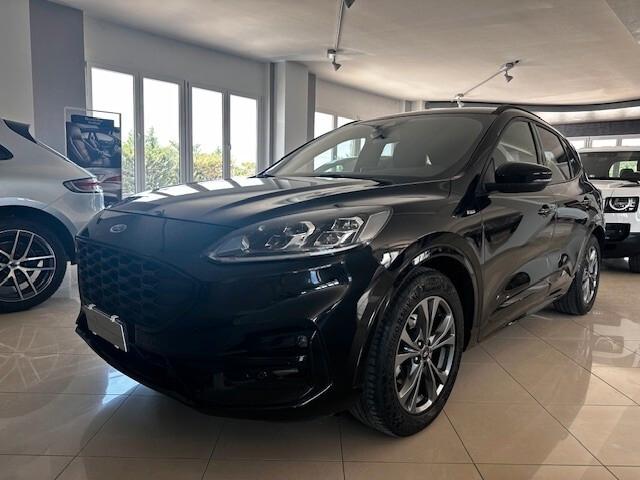 Ford Kuga 1.5 EcoBlue 120 CV aut. 2WD ST-Line X