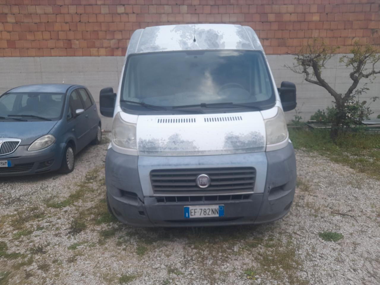 Fiat Ducato 2.3 GASOLIO 120 CV MAX TETTO ALTO ANNO 2010