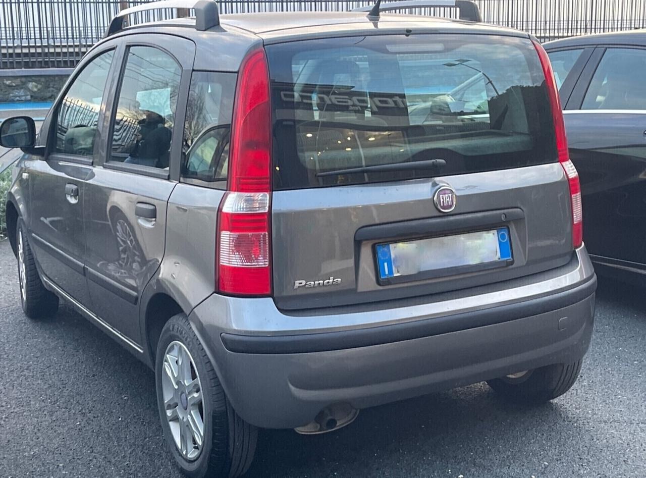 Panda garantita 2 anni!!! 3482693111