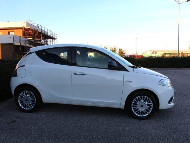 LANCIA Ypsilon 1.3 MJT 16V 95 CV 5 P S&S GOLD *UNIPROP*TAGLIANDAT