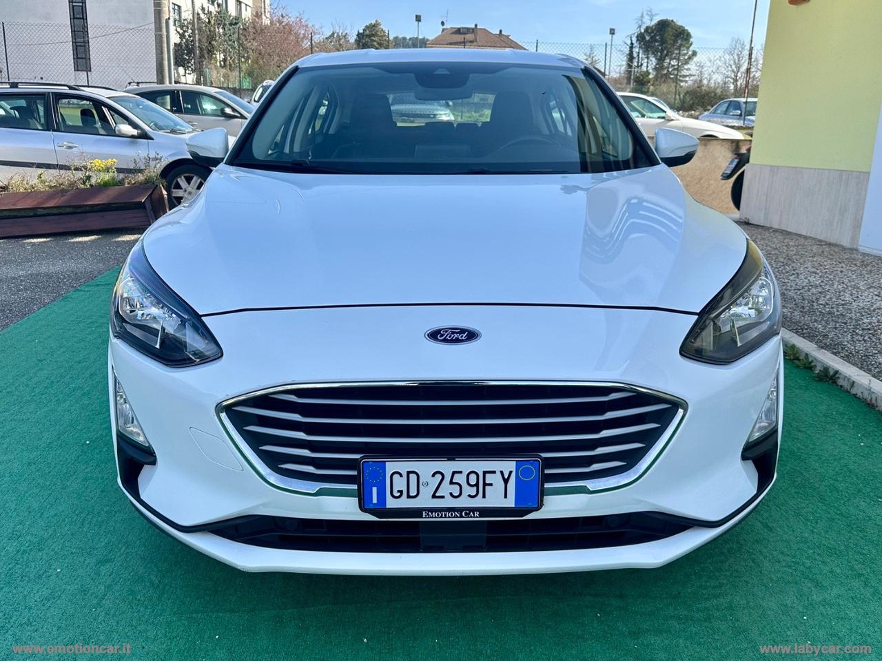 FORD Focus 1.5 EcoBlue 95CV 5p. Business AUTOCARRO N1 - 2020