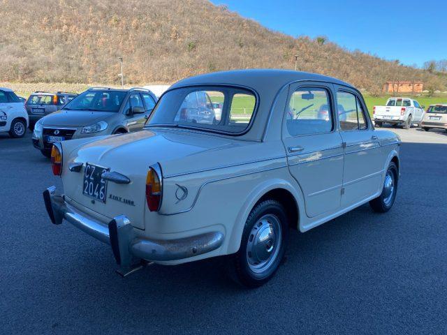 FIAT 1100 1100 BERLINA LUSSO coda di rondine