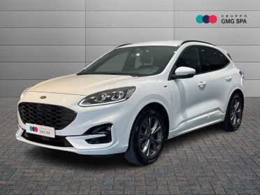 Ford Kuga 1.5 ecoblue ST-Line X 2wd 120cv auto