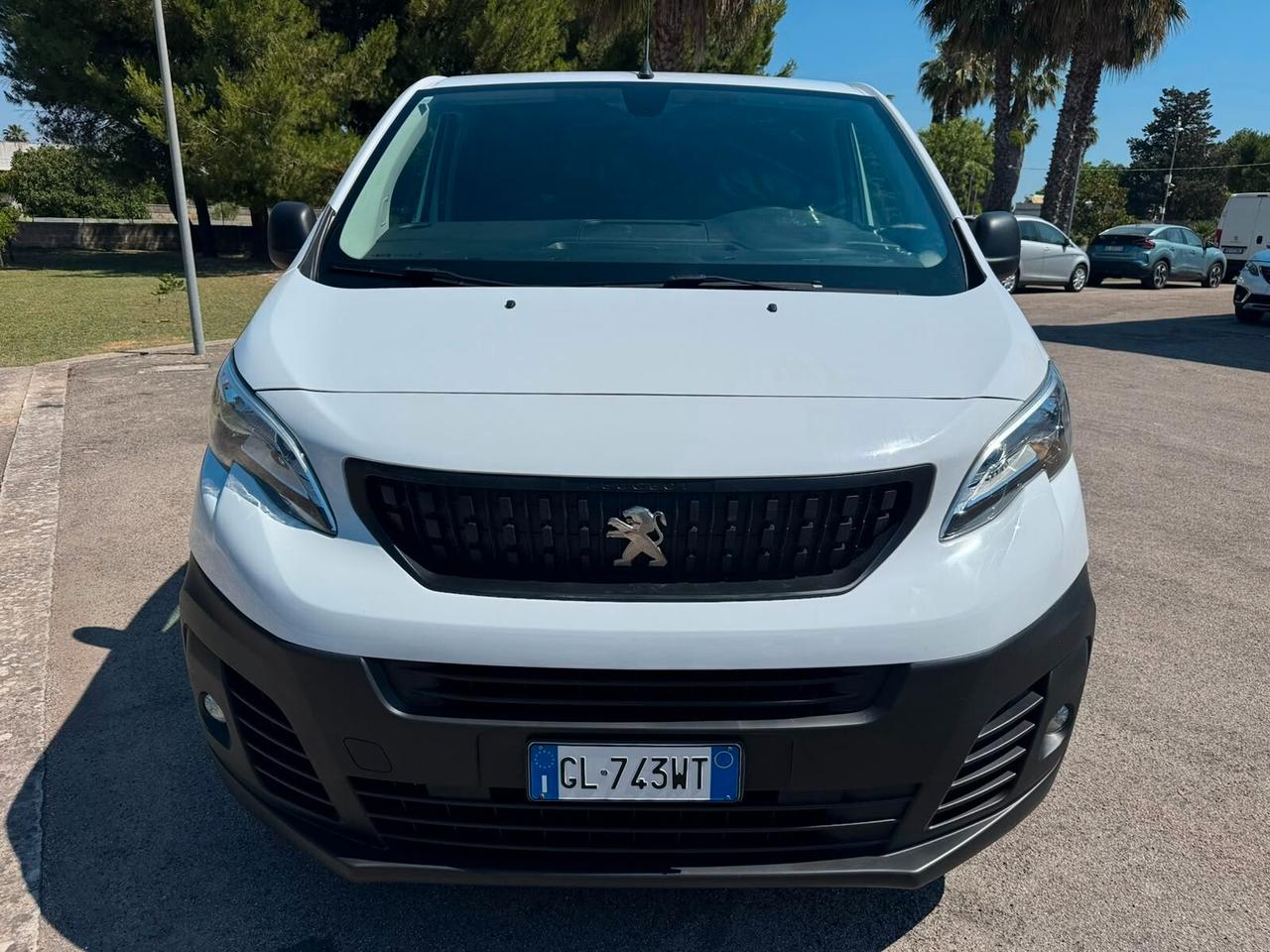 Peugeot Expert BlueHDi 100 S&S PL-SL-TN Furgone Premium Long