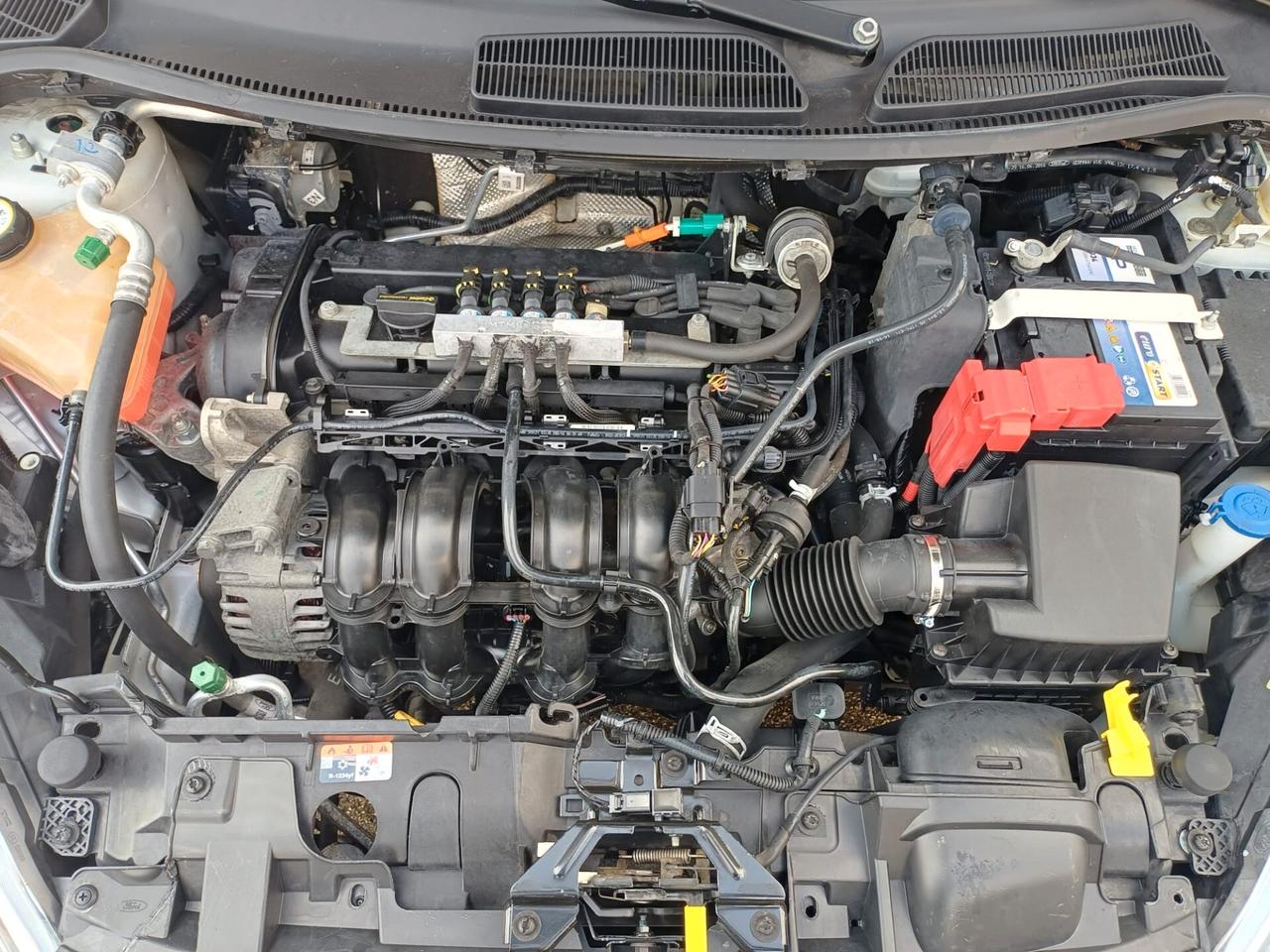 Ford Fiesta GPL DI SERIE Titanium Perfetta - 2017